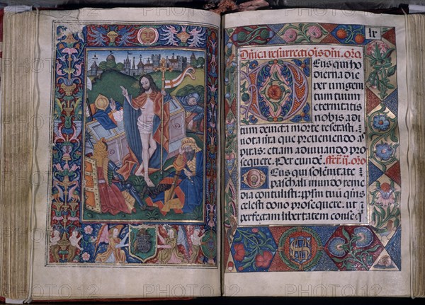 MINIATURA DEL ANTIFONARIO DEL PRIOR
GUADALUPE, MONASTERIO-BIBLIOTECA
CACERES

This image is not downloadable. Contact us for the high res.