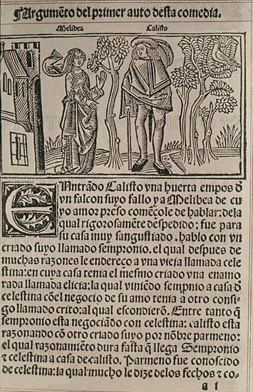 ROJAS FERNANDO DE 1470/1541
PORTADA DE LA CELESTINA-BURGOS 1499-CALISTO Y MELIBEA EN EL PRINCIPIO DEL ACTO 1
NUEVA YORK, HISPANIC SOCIETY
EEUU

This image is not downloadable. Contact us for the high res.