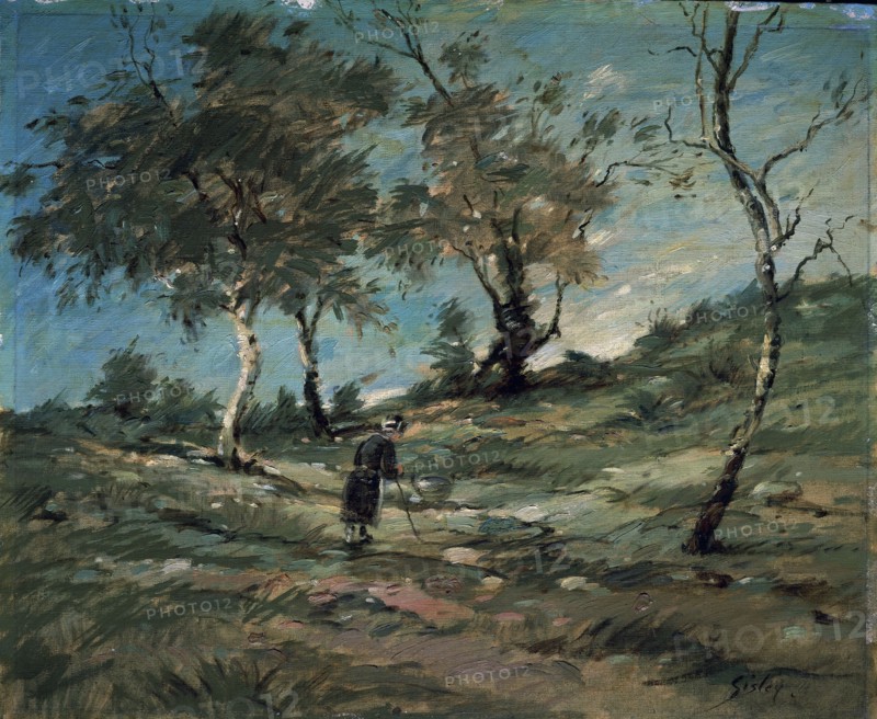 Sisley, Paysage et vieux paysan