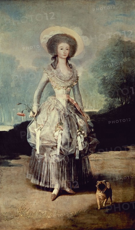 Goya, Portrait de La marquise de Pontejos