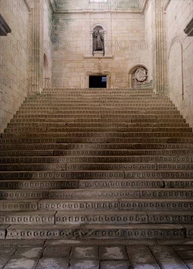 ESCALERA DE HONOR O MONUMENTAL - (1644/1647)
OSERA, MONASTERIO
ORENSE

This image is not downloadable. Contact us for the high res.