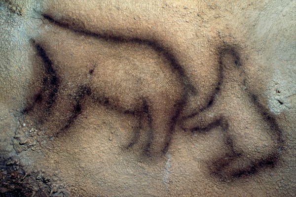 OSO-PINTURA RUPESTRE
EKAIN, CUEVA
GUIPUZCOA