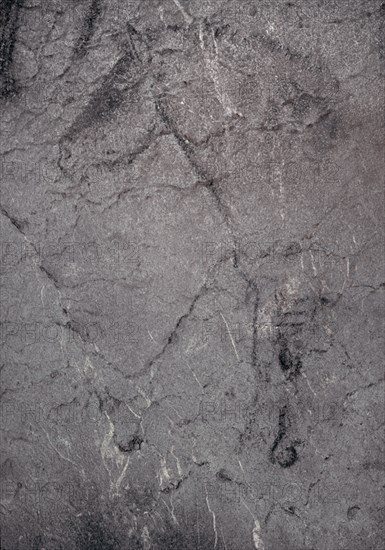 TREN DELANTERO DE CABALLO-PINTURA RUPESTRE
EKAIN, CUEVA
GUIPUZCOA