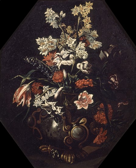 FLORES
VALDEMOSA, COLECCION ANTONIA MARCH
MALLORCA
