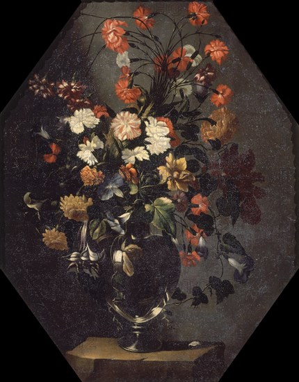 FLORES
VALDEMOSA, COLECCION ANTONIA MARCH
MALLORCA