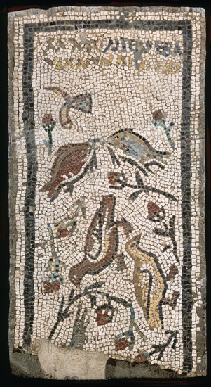 MOSAICO PARA TUMBA DE MARIA SEVERA.S IV.PROC NECROPOLIS EL PRADILLO(ITALICA)
SEVILLA, MUSEO ARQUEOLOGICO
SEVILLA