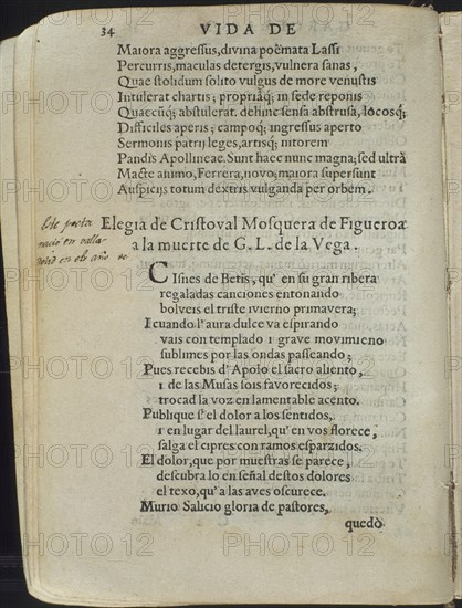 MOLQUERA C
VIDA DE GARCILASO DE LA VEGA.ELOGIOS.ELEGIA A SU MUERTE.
MADRID, BIBLIOTECA NACIONAL
MADRID

This image is not downloadable. Contact us for the high res.