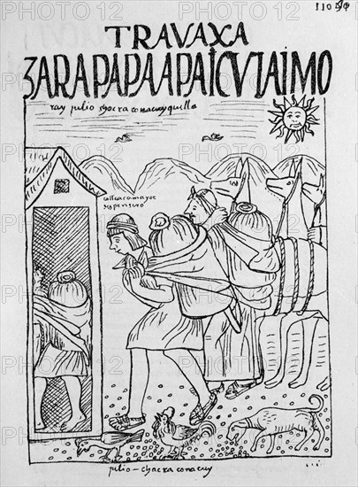 Poma de Ayala, Harvest in July