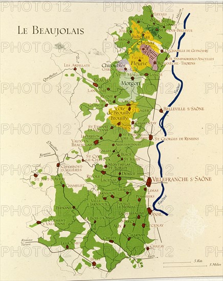 ASENSIO VILLA E
LIBRO DEL VINO VINOS DE LA REGION DE BEAUJOLAIS