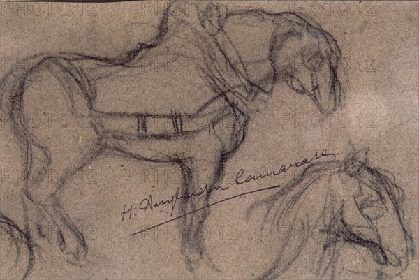 ANGLADA CAMARASA H 1871/1959
APUNTES DE CABALLO Y DE UNA CABEZA DE CABALLO(C.1900/1)CARBONCILLO/PAPEL
BARCELONA, BANCO URQUIJO
BARCELONA