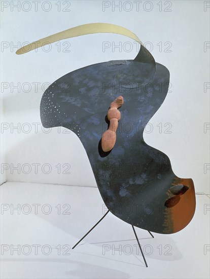 CALDER ALEXANDER 1898/1976
CELLO ON A SPINDLE 1937 METAL PINTADO Y MADERA
ZURICH, KUNSTHAUS
SUIZA

This image is not downloadable. Contact us for the high res.