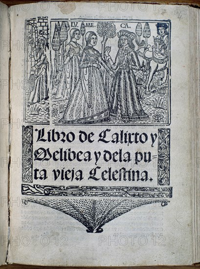 ROJAS FERNANDO DE 1470/1541
PORTADA"LIBRO DE CALIXTO Y MELIBEA Y LA PUTA CELESTINA"-EDICION SEVILLA 1518-20  R-26575
MADRID, BIBLIOTECA NACIONAL RAROS
MADRID

This image is not downloadable. Contact us for the high res.
