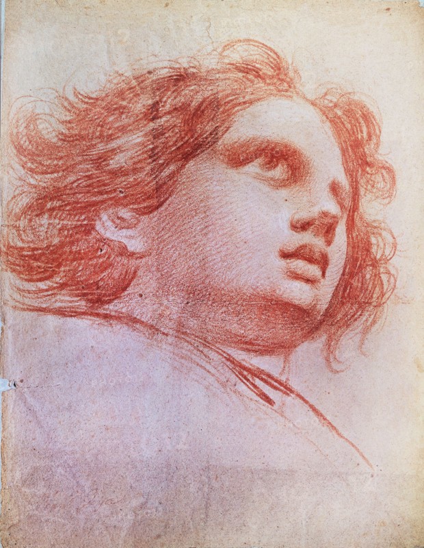 Goya, Tête d'ange