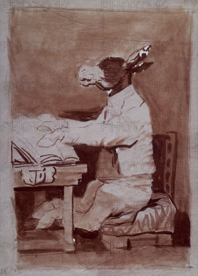 Goya, Donkey reader