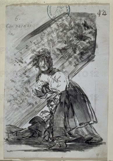 Goya, The sixth with a night-mare