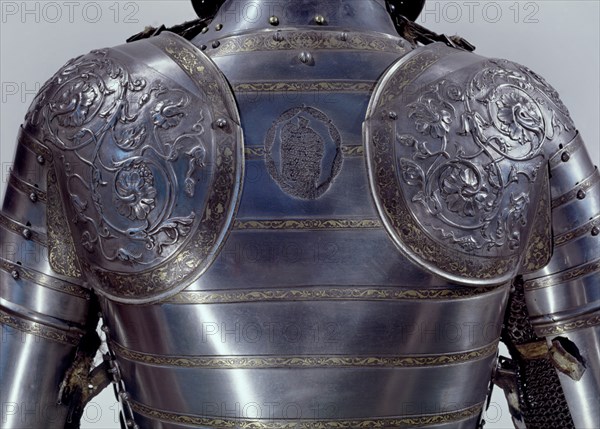 DT ESPALDA DE LA ARMADURA DE CARLOS V
MADRID, ARMERIA REAL
MADRID

This image is not downloadable. Contact us for the high res.