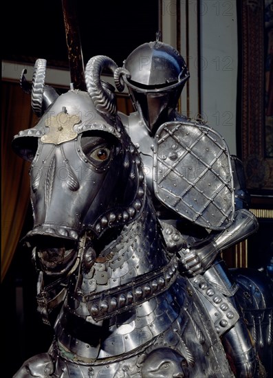 ARNES SOBRE CABALLO PARA JUSTA DE CARLOS V
MADRID, ARMERIA REAL
MADRID

This image is not downloadable. Contact us for the high res.
