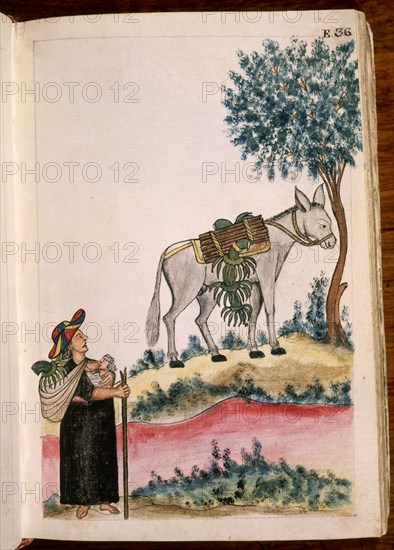 MARTINEZ COMPAÑON 1737/97
TRUJILLO DEL PERU II E 36 INDIA MOIOBAMBA CAMPESINA DANDO DE MAMAR A SU BEBE
MADRID, PALACIO REAL-BIBLIOTECA
MADRID
