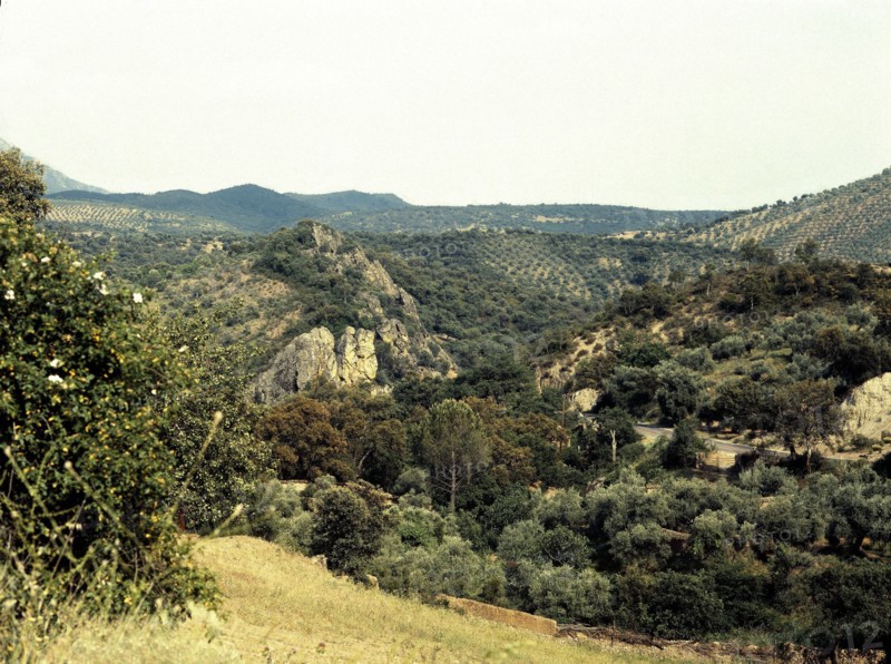 Vue sur la Sierra Morena