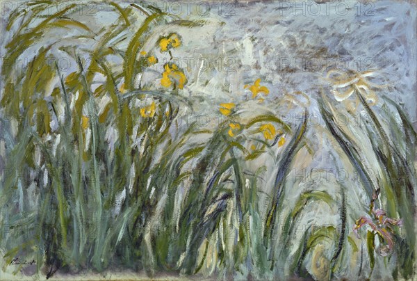 Monet, Les Iris jaunes