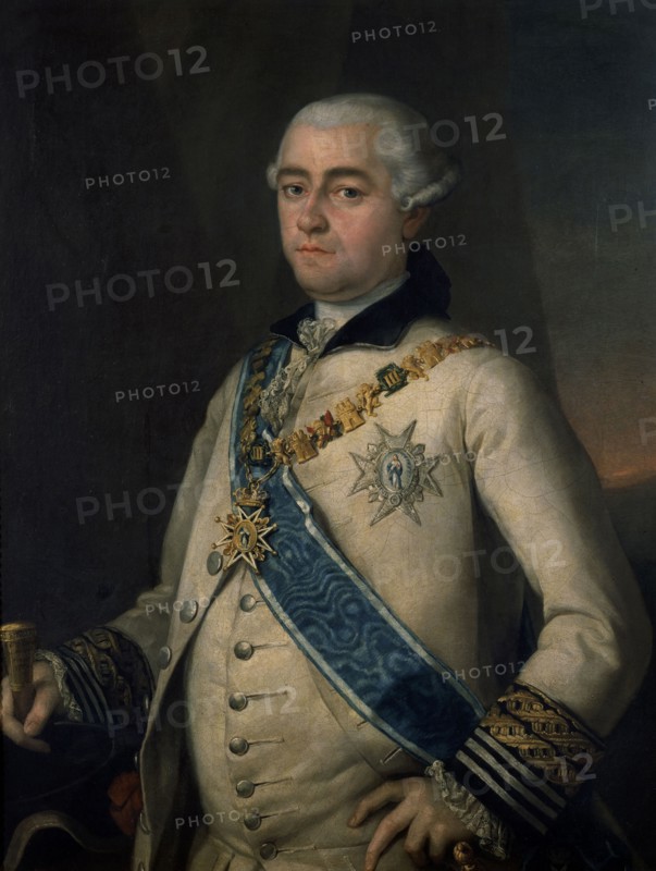 Goya, Comte de Miranda