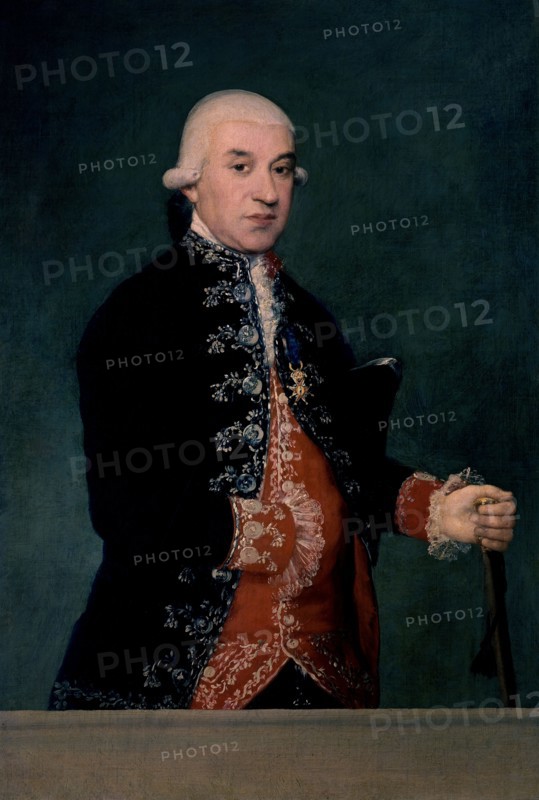 Goya, Portrait de Javier de Larrumbe