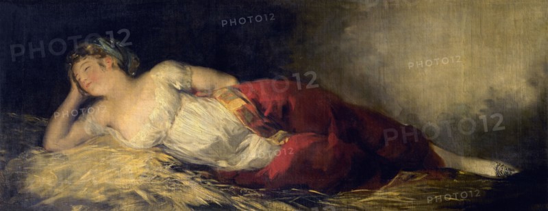 Goya, Femme endormie