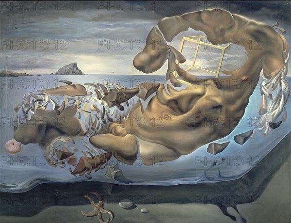 Dali, Rhinocerotic Figure of Phidias' Illisos