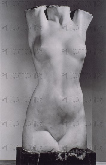 Inurria, Bust
