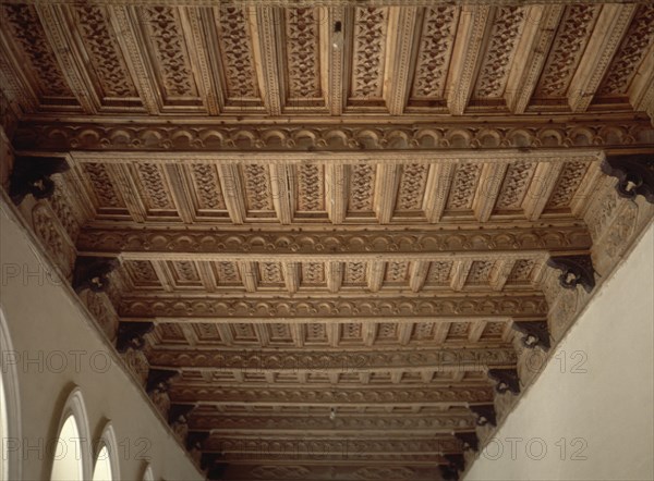 ARTESONADO DE LA GALERIA INTERIOR
BELMONTE, CASTILLO
CUENCA

This image is not downloadable. Contact us for the high res.