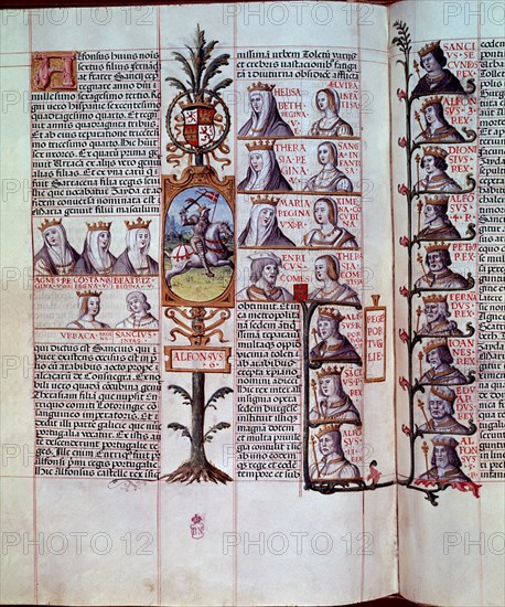CARTAGENA ALFONSO DE 1385-1456
GENEALOGIA DE LOS REYES DE ESPAÑA - (PAGINA DE LOS REYES PORTUGUESES)-VIT 19-2-F29V-30
MADRID, BIBLIOTECA NACIONAL
MADRID

This image is not downloadable. Contact us for the high res.