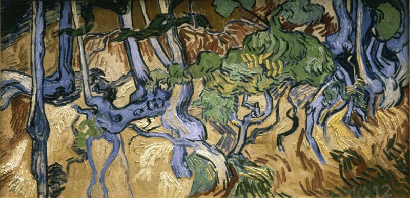 Van Gogh, Racines d'arbres