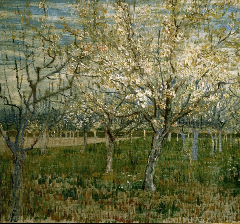 Van Gogh, The pink orchard