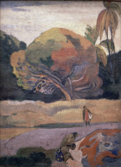 GAUGUIN PAUL 1848/1903
PINTURA
AMSTERDAM, MUSEO VAN GOGH
HOLANDA

This image is not downloadable. Contact us for the high res.
