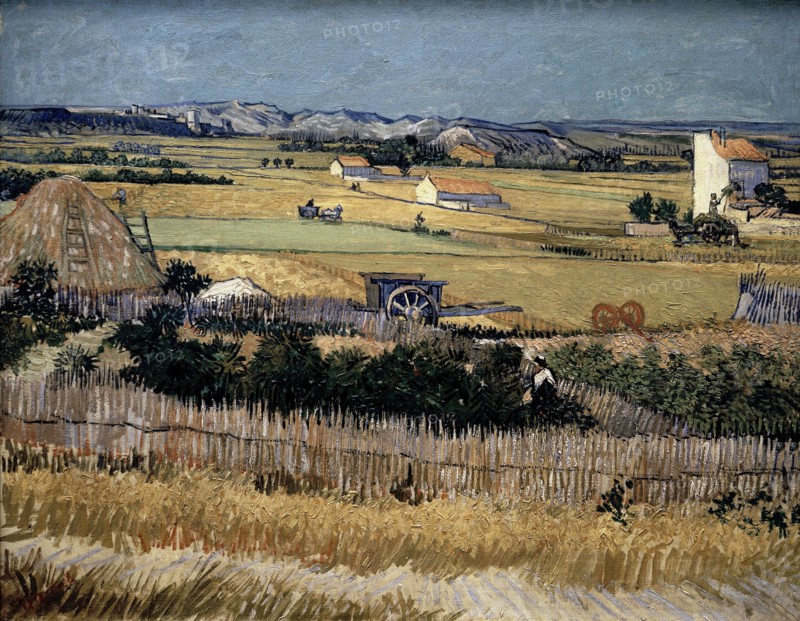 Van Gogh, Harvest at La Crau, with Montmajour in the Background
