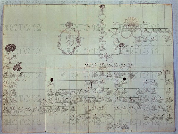 Family tree of José Celestino Mutis