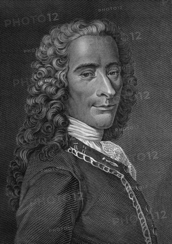 Portrait of Voltaire