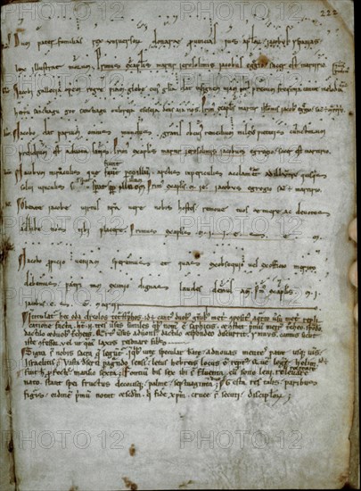 CODICE CALIXTINO- S XII-FOL 185-R CANIONA 3 VOCES MAS ANTIGUA
SANTIAGO DE COMPOSTELA, BIBLIOTECA CATEDRAL
CORUÑA

This image is not downloadable. Contact us for the high res.