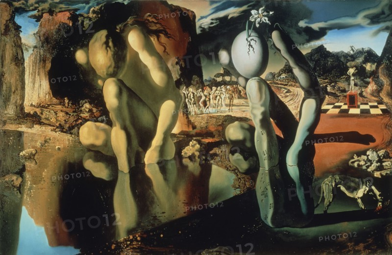 Dali, Metamorphosis of Narcissus