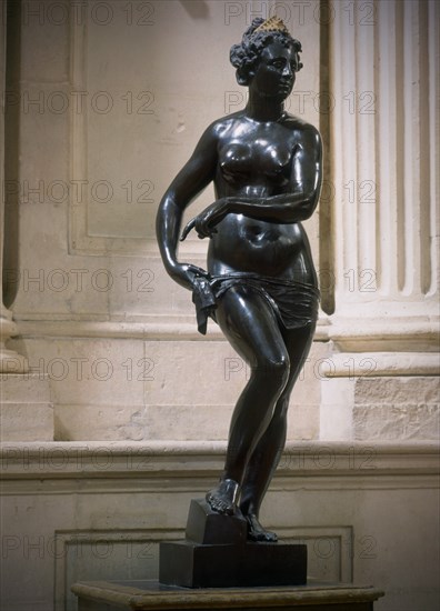 JONGHELINCK 1530/1606
VENUS
MADRID, PALACIO REAL-ESCULTURA
MADRID

This image is not downloadable. Contact us for the high res.
