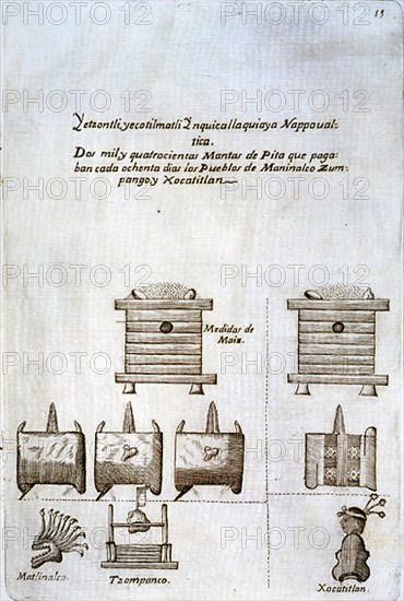 CORTES HERNAN 1485/1547
H DE LA NUEVA ESPANA-TRIBUTOS A MOZTEZUMA-15
MADRID, BIBLIOTECA NACIONAL RAROS
MADRID

This image is not downloadable. Contact us for the high res.