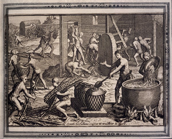 BRY THEODORE 1528-1598
GRANDES VIAJES 1590. INDIOS DEL PERU-USOS Y COSTUMBRES-TRABAJANDO EL AZUCAR 1592
MADRID, BIBLIOTECA NACIONAL B ARTES
MADRID

This image is not downloadable. Contact us for the high res.