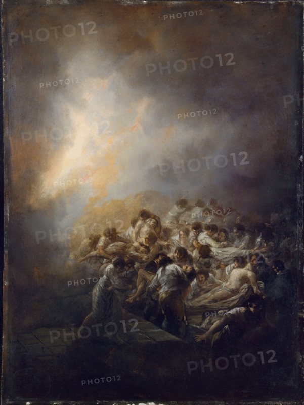 Goya, The Fire