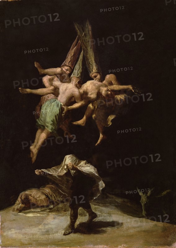 Goya, Witches flight
