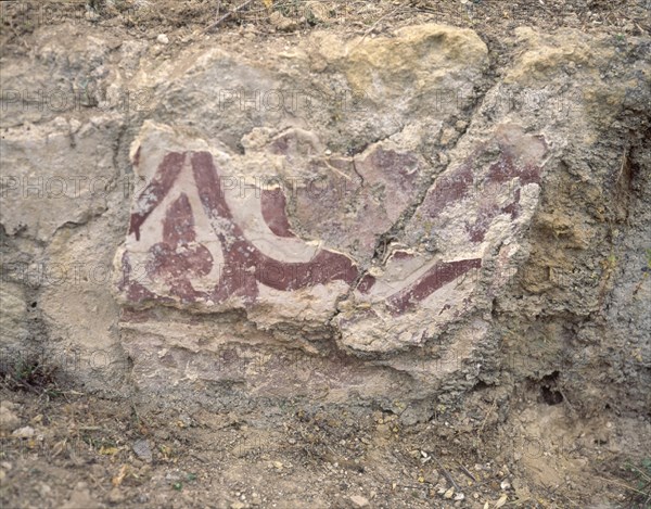FRESCOS - DETALLES
PROVINCIA, MEDINA AZAHARA
CORDOBA
