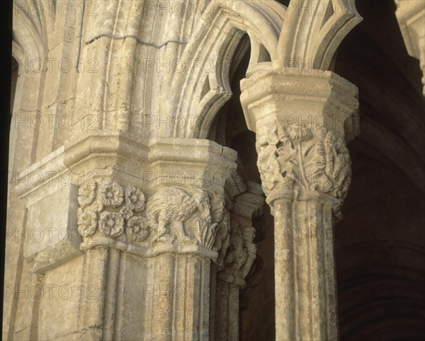 CLAUSTRO-DETALLE CAPITELES CON MOTIVOS FLORALES
CIUDAD RODRIGO, CATEDRAL
SALAMANCA