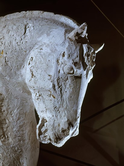BLANCO VENANCIO
ESCULTURA-DETALLE CABEZA DE CABALLO
MADRID, COLECCION PARTICULAR
MADRID

This image is not downloadable. Contact us for the high res.