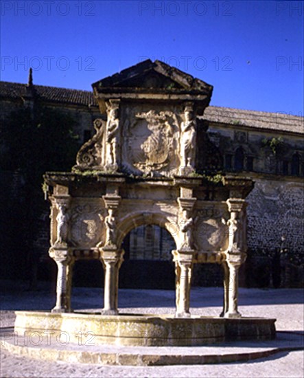 PLAZA DE SANTA MARIA - FUENTE DE SANTA MARIA:ARCO DE TRIUNFO CON ESCUDOS DE FELIPE II
BAEZA, EXTERIOR
JAEN