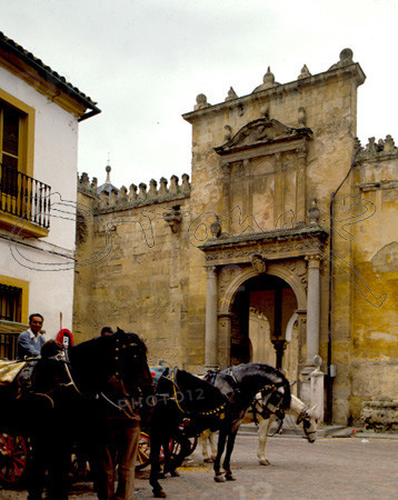 MEZQUITA-PUERTA DE STA CATALINA-COCHES DE CABALLOS
CORDOBA, MEZQUITA
CORDOBA

This image is not downloadable. Contact us for the high res.