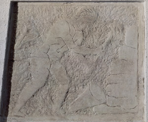 METOPA - TRABAJOS DE HERCULES (RELIEVE)
SEVILLA, MUSEO ARQUEOLOGICO
SEVILLA

This image is not downloadable. Contact us for the high res.